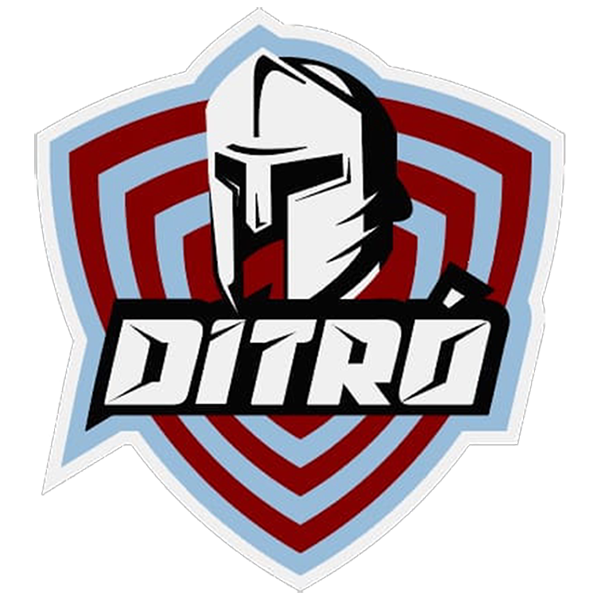 Luptatorii Ditrau U13